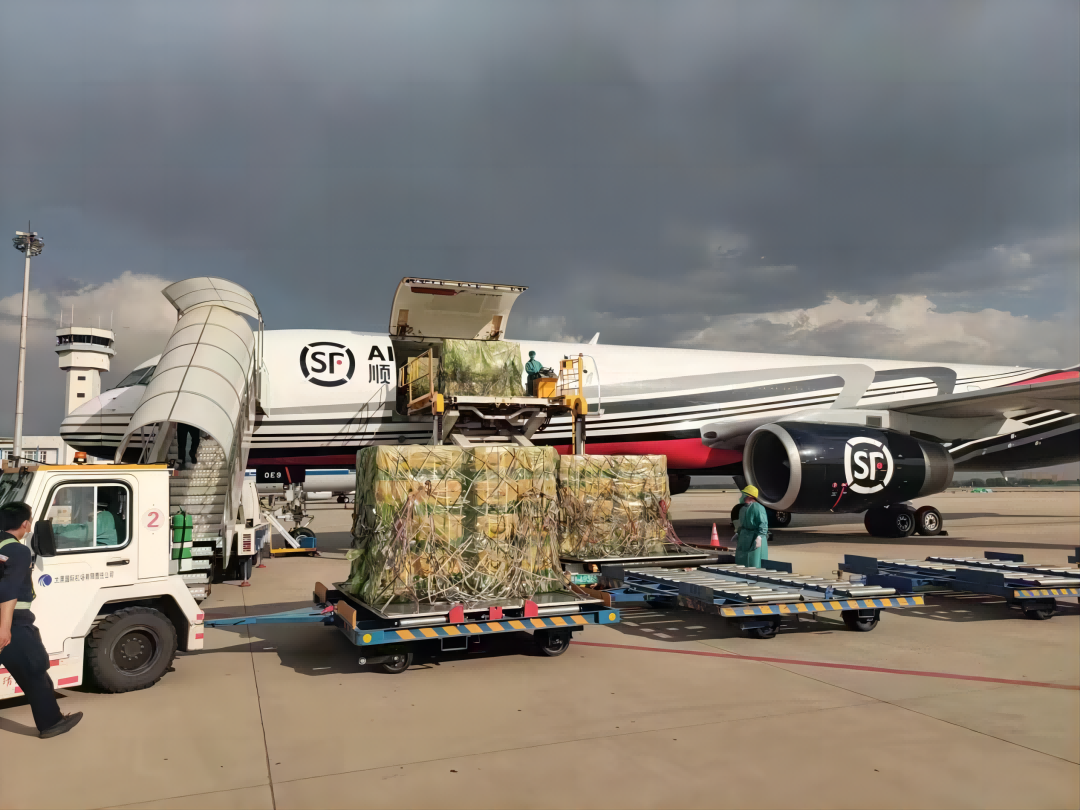 1693366411242044985.png 圖片4(1).png